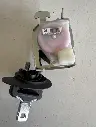 i5528843334[1].webp