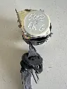 i4893713968[1].webp