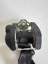 i5656478850[1].webp